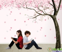 Thay giấy dán tường đón mùa thu