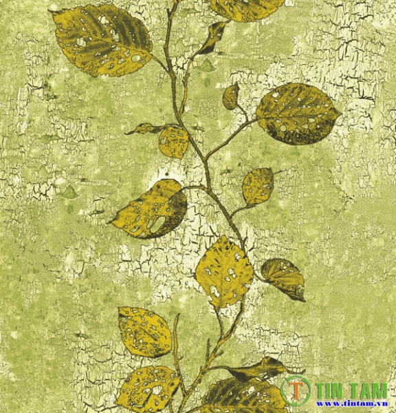 Giấy dán tường hàn quốc Hàn Quốc N.REAL 09, giay dan tuong han quoc , giay dan tuong han quoc dep, giay dan tuong dep , giay dan tuong gia re
