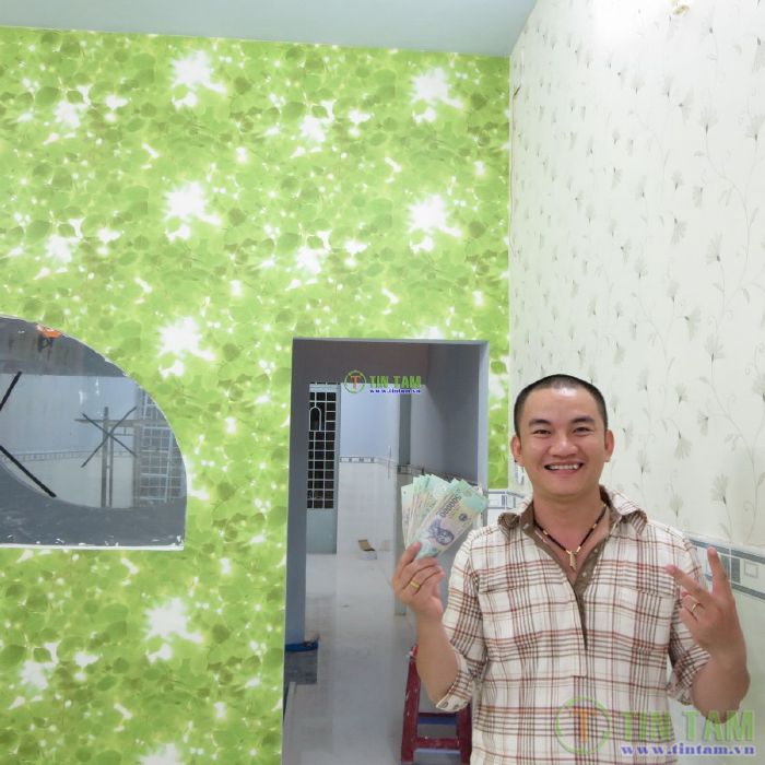chon giay dan tuong